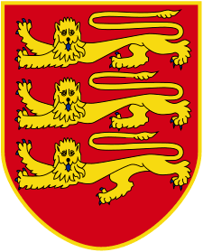 Wappen Jerseys