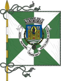 Flagge Porto