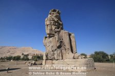 Ägypten | al-Uqsur | Luxor | Theben | Memnonkolosse |