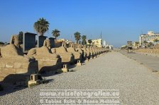 Ägypten | al-Uqsur | Luxor | Luxor-Tempel |