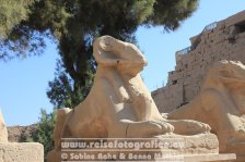 Ägypten | al-Uqsur | Luxor | Karnak-Tempel |