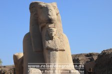 Ägypten | al-Uqsur | Luxor | Karnak-Tempel |