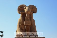 Ägypten | al-Uqsur | Luxor | Karnak-Tempel |