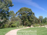 Australien | Australian Capital Territory | Canberra | Australian National Botanic Gardens |