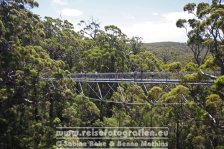 Australien | Western Australia | Walpole-Nornalup-Nationalpark | Top Tree Walk |