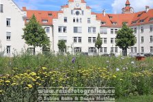 Deutschland | Bayern | Lindau (Bodensee) | Landesgartenschau 2021 |