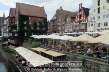 Deutschland | Niedersachsen | Lüneburg | Stint |