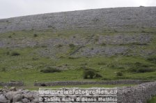 Irland | Munster | Burren |
