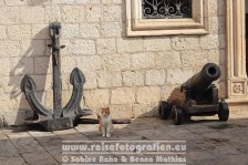 Montenegro | Gemeinde Kotor | Stari Grad Kotor (Altstadt) | 