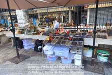 Montenegro | Gemeinde Kotor | Stari Grad Kotor (Altstadt) | 