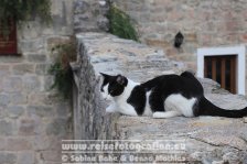 Montenegro | Gemeinde Budva | Stari Grad Budva (Altstadt) |