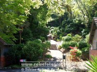 Neuseeland | Nordinsel | Greater Wellington | Wellington | Botanic Garden |