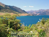 Neuseeland | Südinsel | Otago | Lake Hawea |