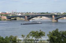 Rheinradweg | Deutschland | Rheinland-Pfalz | Mainz | Rhein | Theodor-Heuss-Brücke |