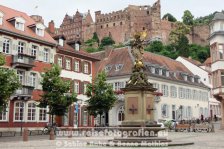 Neckartal-Radweg | Deutschland | Baden-Württemberg | Heidelberg | Kornmarkt-Madonna |