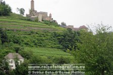 Neckartal-Radweg | Deutschland | Baden-Württemberg | Neckarzimmern | Burg Hornberg |