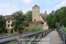 Taubertalradweg | Deutschland | Baden-Württemberg | Wertheim | Burg Wertheim |