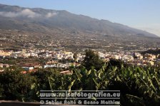 Spanien | Kanaren | Provinz Santa Cruz de Tenerife | La Palma | Los Llanos de Aridane | Los Llanos de Aridane | Blick aus den Apartementos El Palmeral |