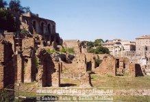 Italien | Latium | Rom | Forum Romanum |
