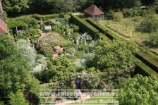 UK | England | Kent | Sissinghurst Castle | Der weiße Garten |