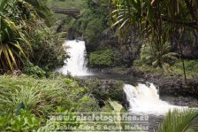 USA | Hawaii | Maui | Road to Hāna |