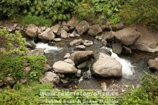 USA | Hawaii | Maui | ʻĪao Valley |