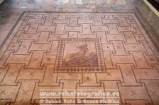 Zypern | Republik Zypern | Paphos | Archäologischer Park Paphos |