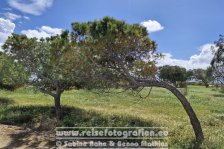 Zypern | Republik Zypern | Paphos | Archäologischer Park Paphos |