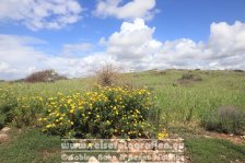 Zypern | Republik Zypern | Paphos | Archäologischer Park Paphos |