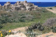 Zypern | Republik Zypern | Paphos | Königsgräber von Nea Paphos |