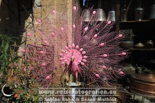 Zypern | Türkische Republik Nordzypern | Nikosia |